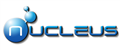 NUCLEUS PRECISION CONSULTANTS LTD