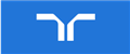 Randstad Perm Professionals