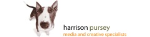 Harrison Pursey