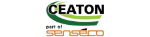 Ceaton Security Services Ltd