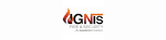 IGNIS Fire and Security