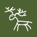 New Forest Care