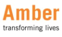 The Amber Foundation